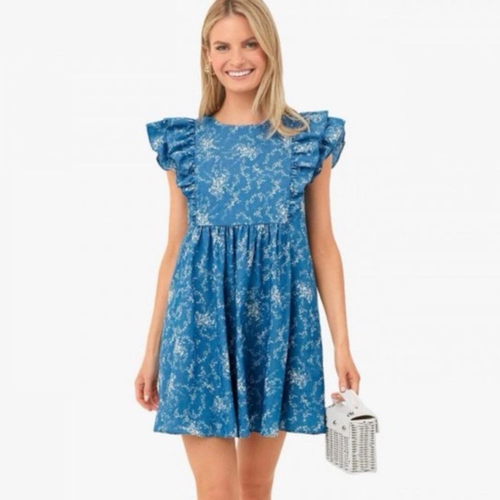 Tuckernuck Blue Floral Ruffle-Sleeve Mini Dress